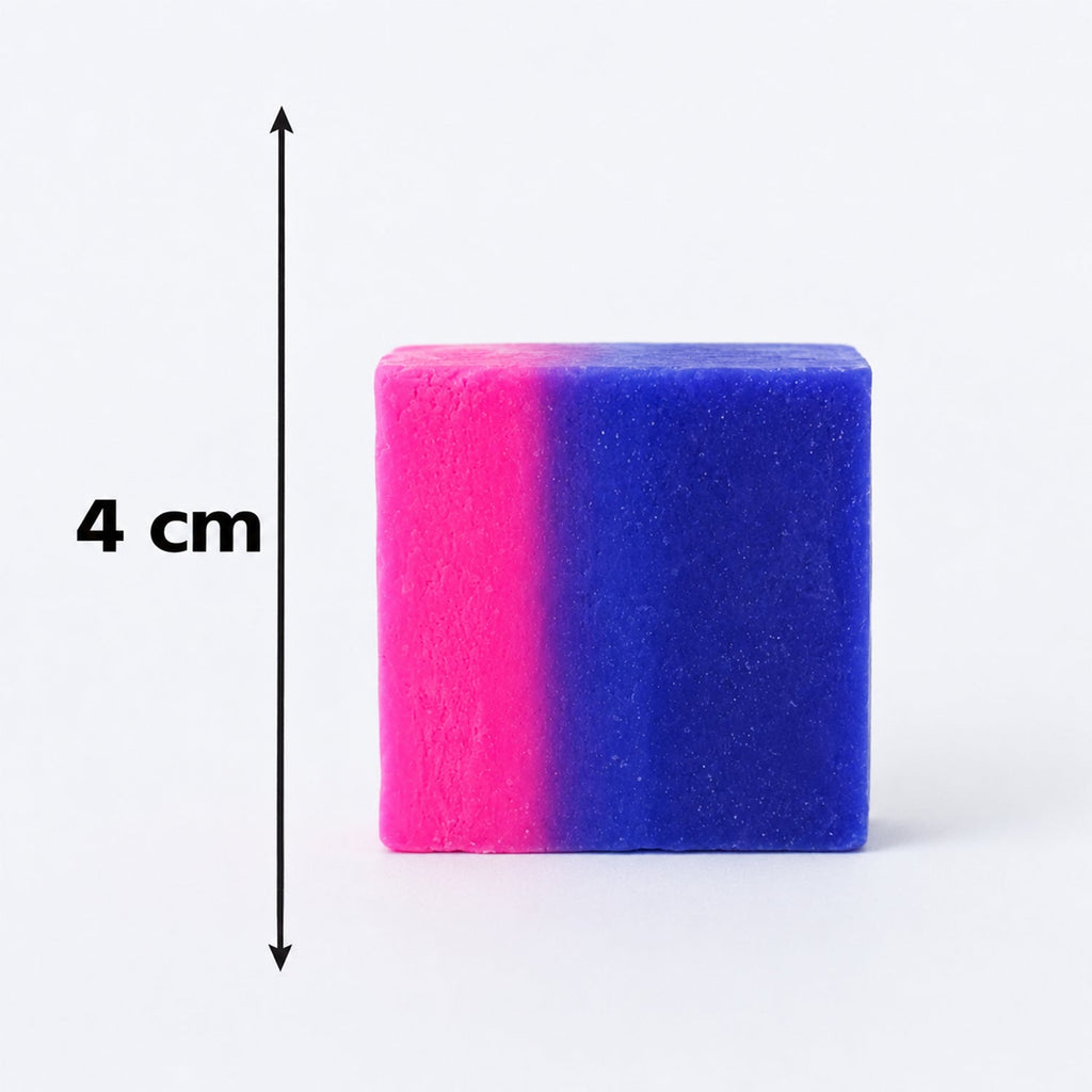 Bathroom Toilet Bowl Cleaning Block Dual Colour Flush Tank Cleaner (1 Pc)