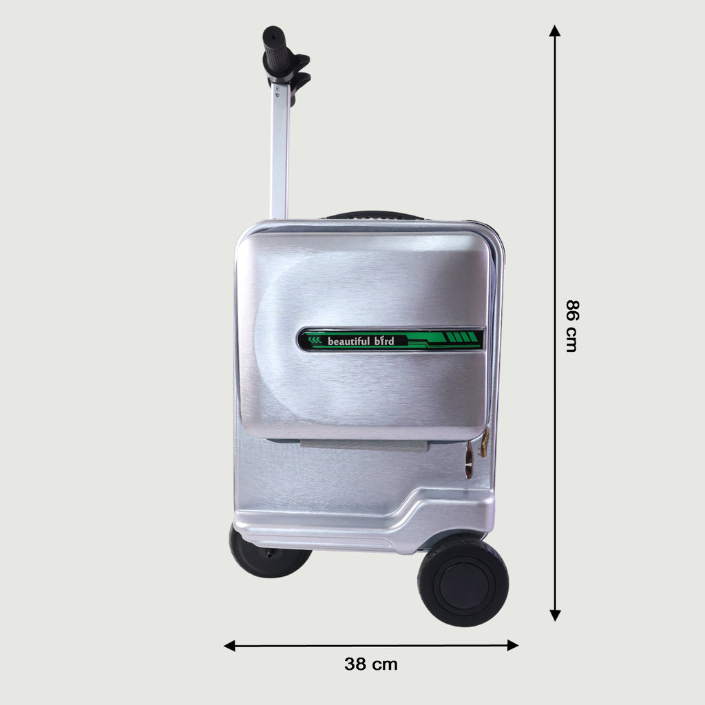 Electric Ride-on Scooter Travel Bag With Foldable Trolley (1 Pc)