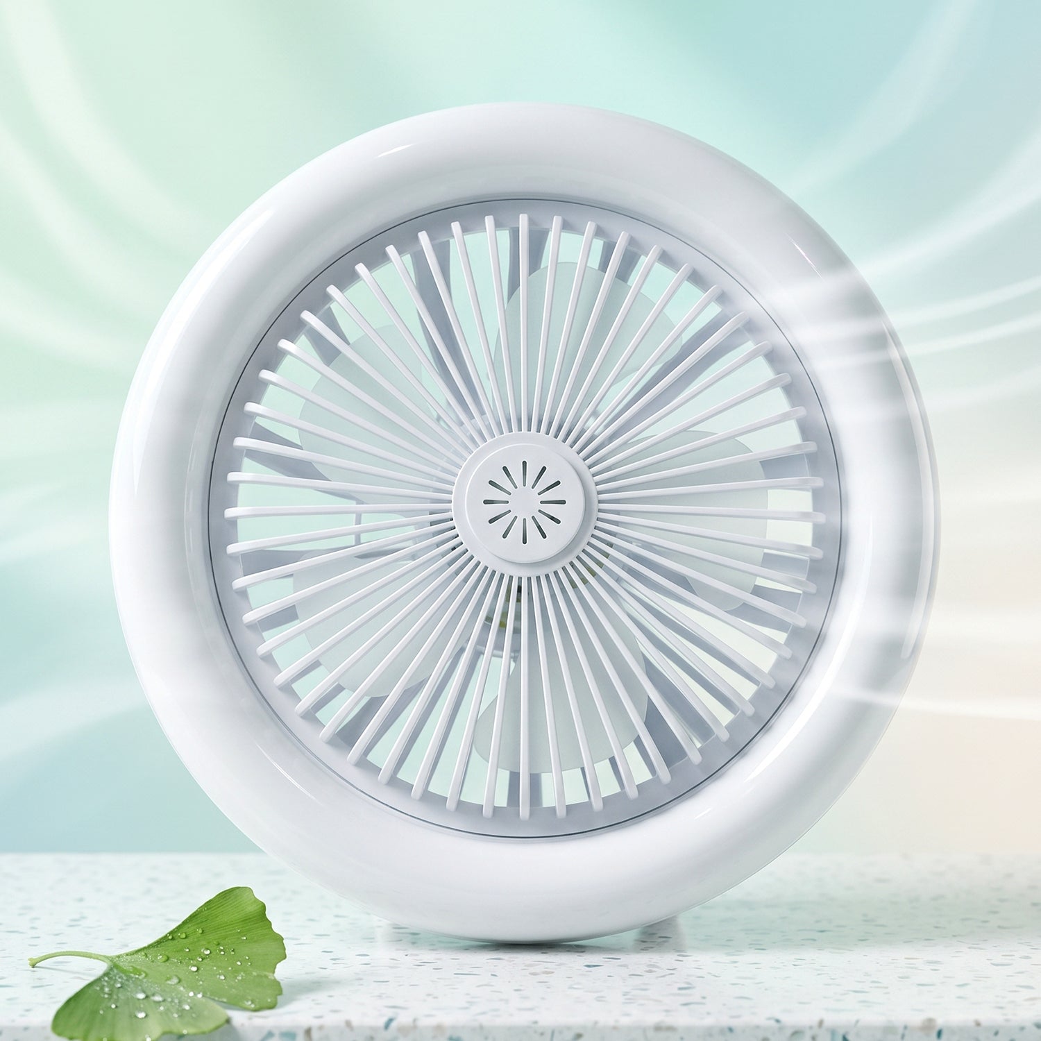 Fan light size details