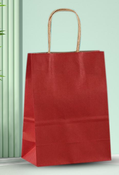 Premium Paper Gift Bag with Handle | Return Gift, Shopping & Packaging Bag | Available in Red, White, Black, Green & Brown - Image 2