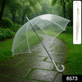 Premium Transparent Dome Umbrella With Curved Handle (1 Pc)