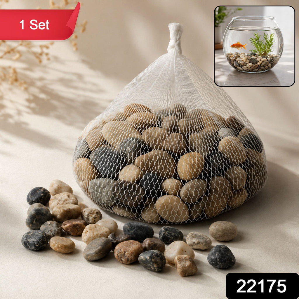 Decorative Natural Pebbles Stones For Aquarium Vase Garden And Home Decor (1 Set)